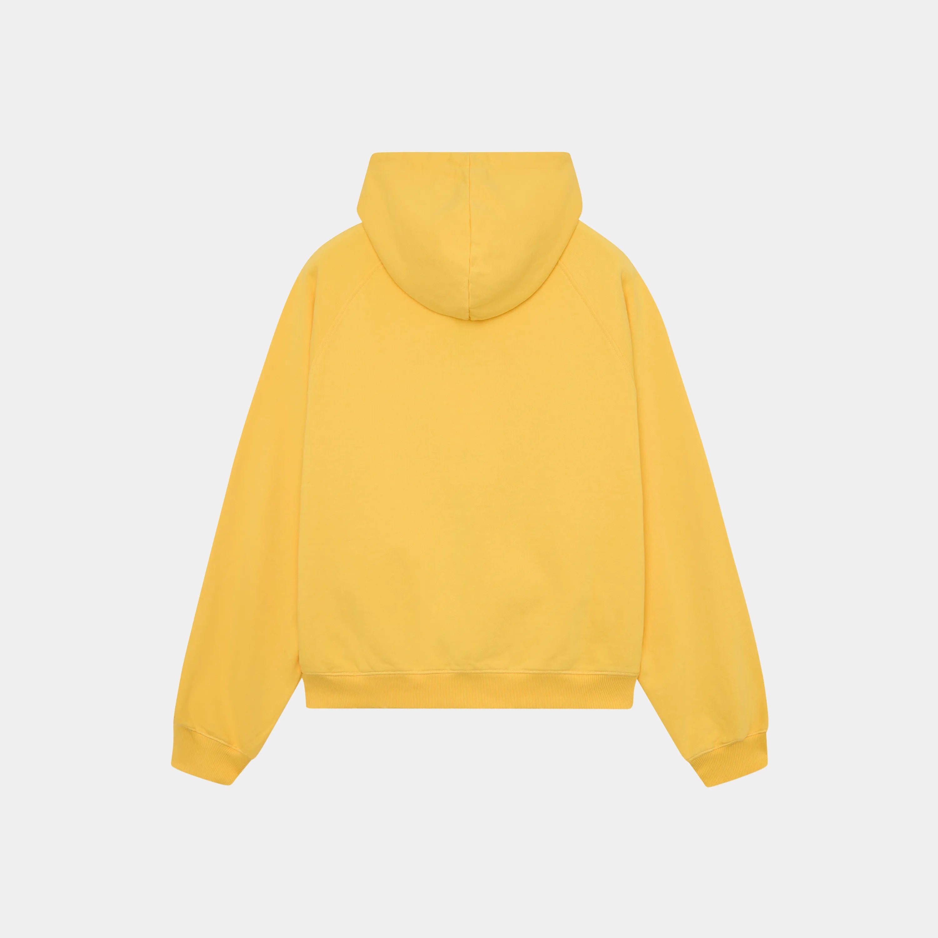 Stealth Sun Oversized Full Zip Hoodie eme